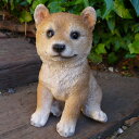 犬の置物 柴犬子犬 39QY いぬ イヌ 動物 オーナメント ガーデン インテリア 雑貨 置物 庭 ガーデンマスコット 雑貨小物 ディスプレィ 陶器