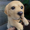 犬の置物 ラブラドール ハンギングドッグ 1123QYL いぬ イヌ 動物 オーナメント ガーデン オブジェ 庭 雑貨 ガーデニング インテリア マスコット リアル 陶器