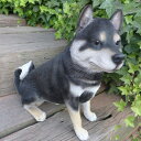 犬の置物 黒柴犬 BK53QY いぬ イヌ 動物 オーナメント ガーデン インテリア 雑貨 置物 庭 ガーデンマスコット 雑貨小物 ディスプレィ 陶器 リアル