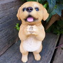犬の置物 ラブラドールのお願い 104QY いぬ イヌ 動物 オーナメント ガーデン インテリア 雑貨 置物 庭 ガーデンマスコット 雑貨小物 ディスプレィ 陶器 リアル