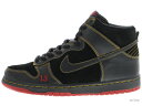 NIKE SB DUNK HIGH PRO SB
