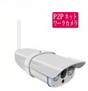 100万画素 屋外用 ネットワークカメラ RCC-7100WP 無線LAN、スマホ対応、SDカード,録画、動体検知録画他 (P2P IPカメラ rcc7100wp 有線LAN 赤外線 LED 距離15m IP67 防犯 監視)