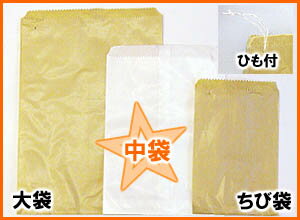 Хå«ʤ夦̵100ѥå