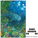 ポストカード MANGO ART COMPANY Natsuki Wakita ジンベエザメ