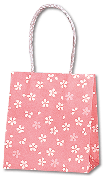 150xޥ80x165mmࡼХå15-08餾ᡡ25