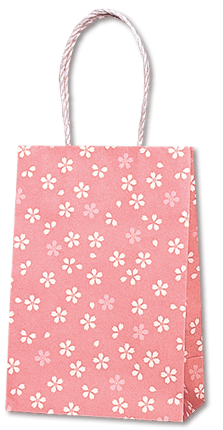 160xޥ90x235mmࡼХå16-2餾ᡡ25