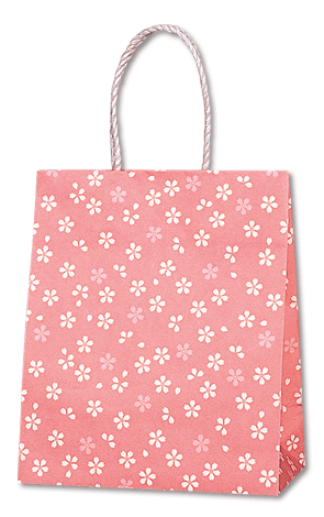 220xޥ120x265mmࡼХå22-12餾ᡡ25