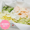 フラワーシャワーに フラワーペタルセット フレッシュネスグリーン(5色・8袋入り)
