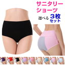サニタリーショーツ レディース 下着 パンツ 生理用ショーツ サニタリー ショーツ 送料無料 メール便