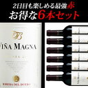 [2005]ヴィニャ・マグナ　クリアンサ　リベラ・デル・デュエロ　スペイン×6本 セット （750ml 赤ワイン）6本セット スペイン 赤ワイン セット