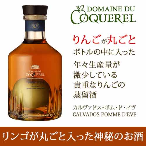 カルヴァドス・ポム・ド・イブ ドメーヌ・ド・コックレル フランス ノルマンディー ブランデー 600ml 【YDKG-t】【12本単位のご購入で送料無料/ギフト・プレゼント対応可】【ギフト ワイン】【ソムリエ】【あす楽_土曜営業】【あす楽_日曜営業】