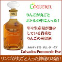 カルヴァドス・ポム・ド・イヴ　40度・600ml（化粧箱なし）ドメーヌ・ド・コクレル　ブランデー