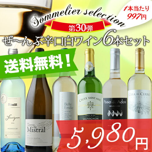 辛口白ワイン6本セット 第30弾 送料無料 白ワインセット 【YDKG-t】【smtb-T…...:wsommelier:10010349