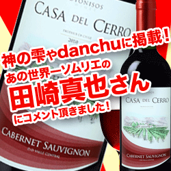 [2010] カサ・デル・セロ　カベルネ・ソーヴィニョン　ヴィニャマーティ（ディオニソス・ワインズ）チリ (750ml・赤ワイン)チリ 赤ワイン