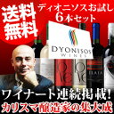 ディオニソスお試し6本セット！（白2本＆赤4本入り）あと6本同梱しても送料無料でお届け！※クール便ご指定の方は別途210円が必要となります。送料無料！