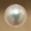 あこや本真珠 パールルース（シングル） ホワイト系 7.5-8.0mm AAC ラウンド （片穴があいています）[n3][4-456]（真珠 パールセミオーダー 加工用）