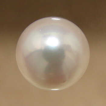 あこや本真珠 パールルース（シングル） ホワイト系 7.5-8.0mm BBB ラウンド （片穴があいています）[n3][4-415]（真珠 パールセミオーダー 加工用）