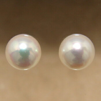 「あこや本真珠 パールルース（ペア）8.0-8.5mmAAC」[n3]...:wsp:10005140