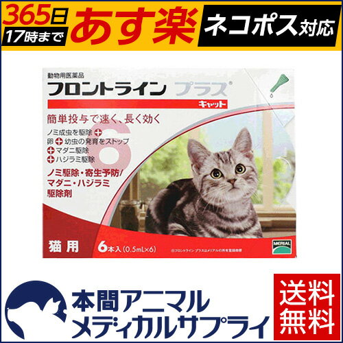 【300円OFFクーポン配布中】【送料無料】猫用 フロントラインプラス 1箱 6本入 6ピペット【動物用医薬品】【365日あす楽】