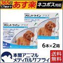 【最大400円OFFクーポン配布中!】【送料無料】犬用 フロントラインプラス S (5-10kg未満用) 2箱 12本入 12ピペット【動物用医薬品】