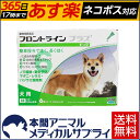 【最大400円OFFクーポン配布中!】【送料無料】犬用 フロントラインプラス M (10kg〜20kg) 1箱 6本入 6ピペット【動物用医薬品】