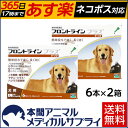 【送料無料】犬用 フロントラインプラス L (20kg〜40kg) 2箱 12本入 12ピペット【動物用医薬品】