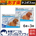 【送料無料】犬用 フロントラインプラス S (5-10kg未満用) 9ピペット(6本入+3本入)1シーズンセット【動物用医薬品】