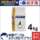 【最大350円OFFクーポン配布中!】【送料無料】ロイヤルカナン 食事療法食 猫用 腎臓サポート ドライ 4kg【365日あす楽】