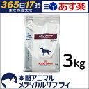 【最大350円OFFクーポン配布中!】【送料無料】ロイヤルカナン 犬用 スキンサポート ドライ3kg【365日あす楽】