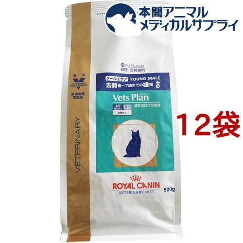 CJi Lp xbcv [PA(500g*12܃Zbg) CJi(ROYAL CANIN) [Lbgt[h]