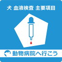 【最大350円OFFクーポン!】【ご来院出来る方のみ】 犬 血液検査 主要項目 【動物病院へ行こう!】【診療・検査代】