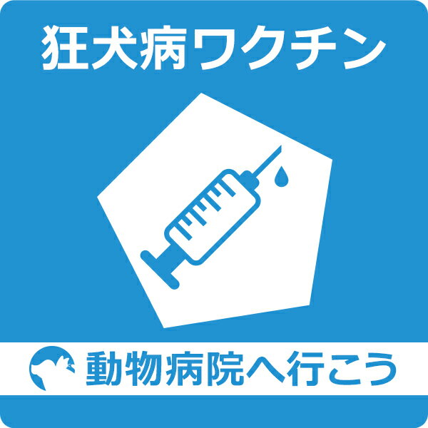 【ご来院出来る方のみ】犬 狂犬病予防ワクチン接種【動物病院へ行こう！】【診療・接種代】