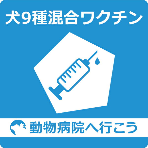 【ご来院出来る方のみ】犬 9種混合ワクチン接種【動物病院へ行こう！】【診療・接種代】