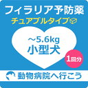 【最大400円OFFクーポン配布中!】【ご来院出来る方のみ】 犬 フィラリア予防薬チュアブルタイプ1回分 小型犬用(〜5.6kg) 【動物病院へ行こう!】【診療・処方代】
