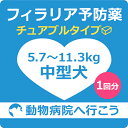 【最大400円OFFクーポン配布中!】【ご来院出来る方のみ】 犬 フィラリア予防薬チュアブルタイプ1回分 中型犬用(5.7〜11.3kg) 【動物病院へ行こう!】【診療・処方代】