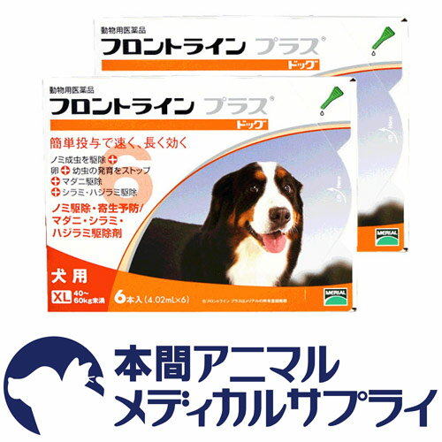 【送料無料】犬用 フロントラインプラス XL (40kg〜60kg) 12ピペット【宅配便】【動物用医薬品】【ノミ・ダニ・シラミ駆除】【ノミダニ予防薬最安値にチャレンジ!】 【送料無料】犬用 フロントラインプラス XL (40kg〜60kg) 12ピペット【宅配便】【動物用医薬品】【ノミ・ダニ・シラミ駆除】【ノミダニ予防薬最安値にチャレンジ!】