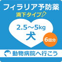 【最大400円OFFクーポン配布中!】【ご来院出来る方のみ】 犬 フィラリア予防薬滴下タイプ6回分 (体重2.5kg以上5.0kg未満の犬) 【動物病院へ行こう!】【診療・処方代】