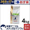 【2個で200円OFFクーポン】【送料無料】ロイヤルカナン 食事療法食 猫用 PHコントロール2 フィッシュテイスト ドライ 4kg