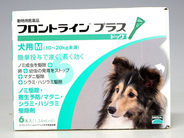 メリアル犬用　フロントラインプラス M （10kg020kg）　6ピペット【動物用医薬品】【ノミ・ダニ・シラミ駆除】【年間投与がオススメ！】【あす楽対応】