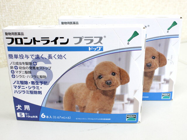 【24時間限定タイムセール】犬用 フロントラインプラス S （5kg〜10kg）　12ピペット【宅配便】【動物用医薬品】【ノミ・ダニ・シラミ駆除】【送料無料_ROTA】