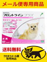 犬用 フロントラインプラス XS(5kg未満用)