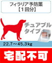 フィラリア症の診療と処方(チュアブルタイプ)超大型犬用(22.7kg?45.3kg) 1回分【動物病院へ行こう!】【診療・処方代】【宅配不可】