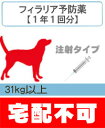 フィラリア症の診療と処方(注射タイプ)+フィラリア検査付き超大型犬用(31kg以上)【動物病院へ行こう!】【診療・処方代】【宅配不可】