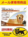 【送料無料】【ポスト投函】犬用 フロントラインプラス L (20kg〜40kg) 1箱 6本入 6ピペット【配送方法:メール便】【動物用医薬品】【ノミ・ダニ・シ...