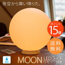 【ポイント15倍】充電式 防水LEDインテリアライト ムーン...