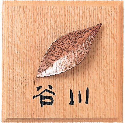 【送料無料】木と銅の組み合わせ表札　PQ−12