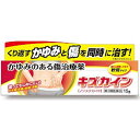 【メール便送料無料】【第2類医薬品】キズカイン 1