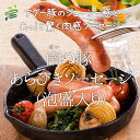 石垣島産 アグー豚(F1種) 南ぬ豚(ぱ...