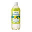 花王 ヘルシアスパークリング 500ml×24本 (240842)