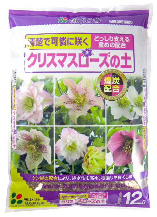 ȁZbg̔@uNX}X[Y̓y@12Lv yԂz